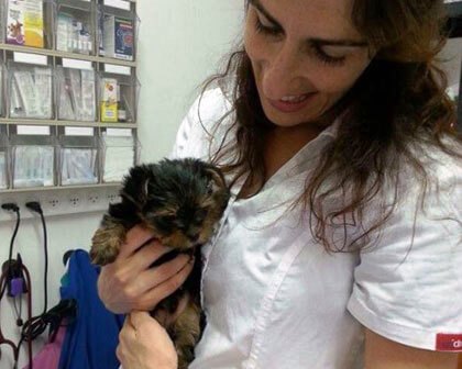 שירותי מרפאה מגוונים